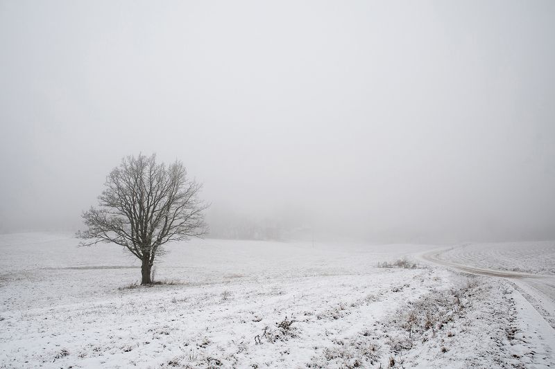 Туманная обочинаphoto preview