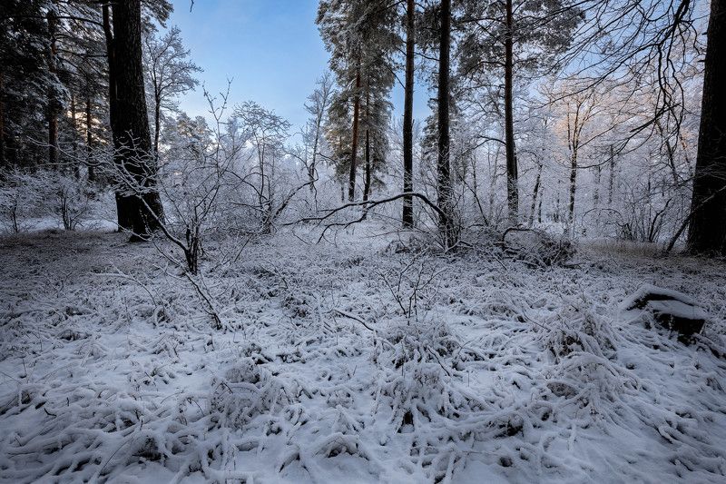 Зимнее утроphoto preview