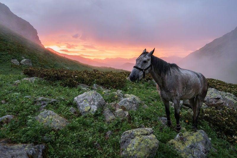Закат в горахphoto preview