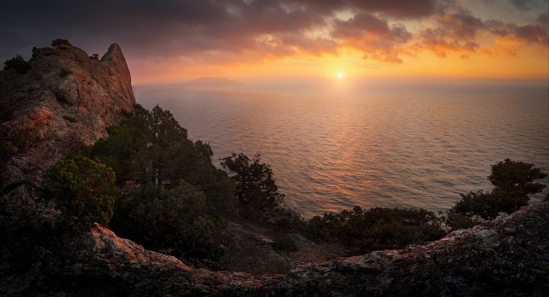 крым, новый свет, уиро, море, горы, дерево, пейзаж, природа,crimea, landscape, судак, рассвет ***photo preview