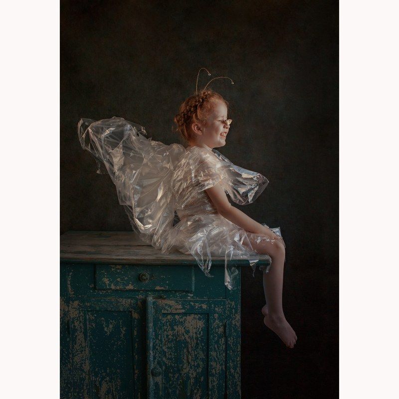 Butterflyphoto preview