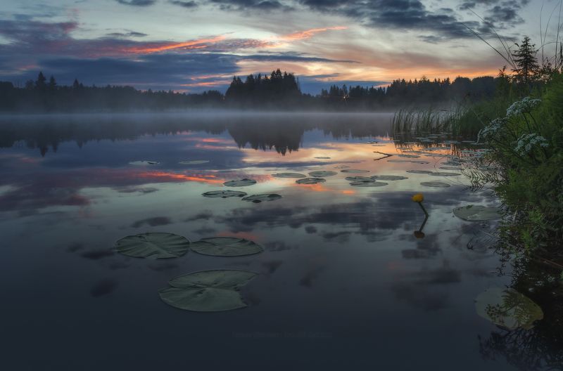 луга, ленобласть, пейзаж, рассвет, туман,  landscape, nature, природа, foggy, forest, болото, белая ночь, ленинградская область Меж закатом и рассветомphoto preview