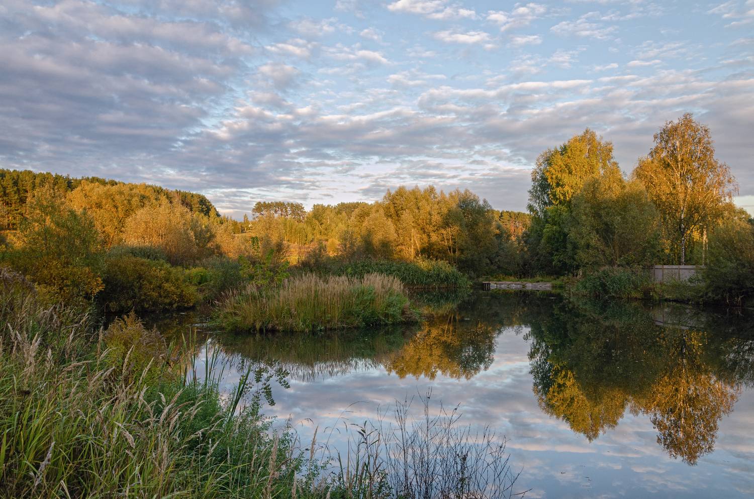 Осень на озере. Автор: Александр Березуцкий осень луг красота, Александр Березуцкий