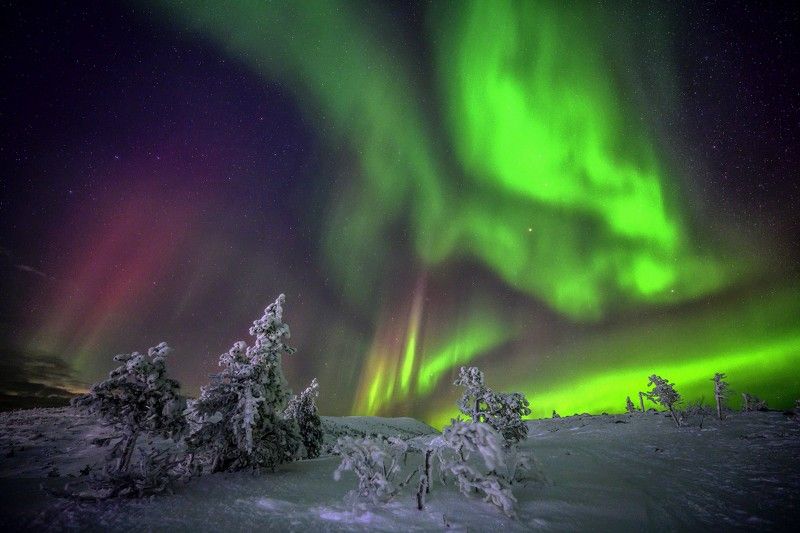 Танец Аврорыphoto preview