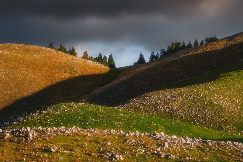 Limestone wavesphoto preview