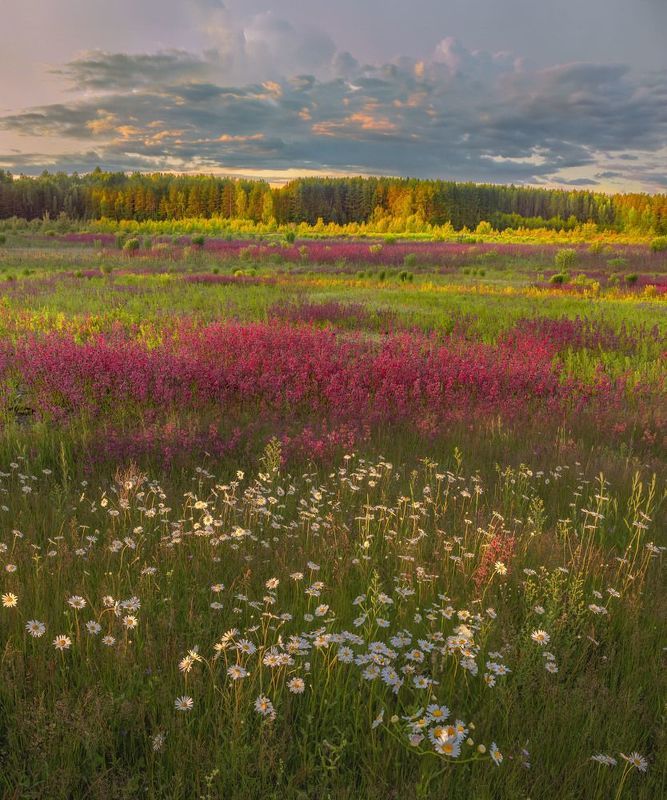 Фототуры с Владимиром Рябковым,#topnature #russpasibo #magic_shots #lovelyRussia #sunset_vision #exclusive_sky  #exclusive_shots #loves_russia2 #photoarena_nature #nature_sultans #nature_perfection #rsa_sky #rsa_sunset #photorussia #rsa_naturepics #sunset Летний вечер. photo preview