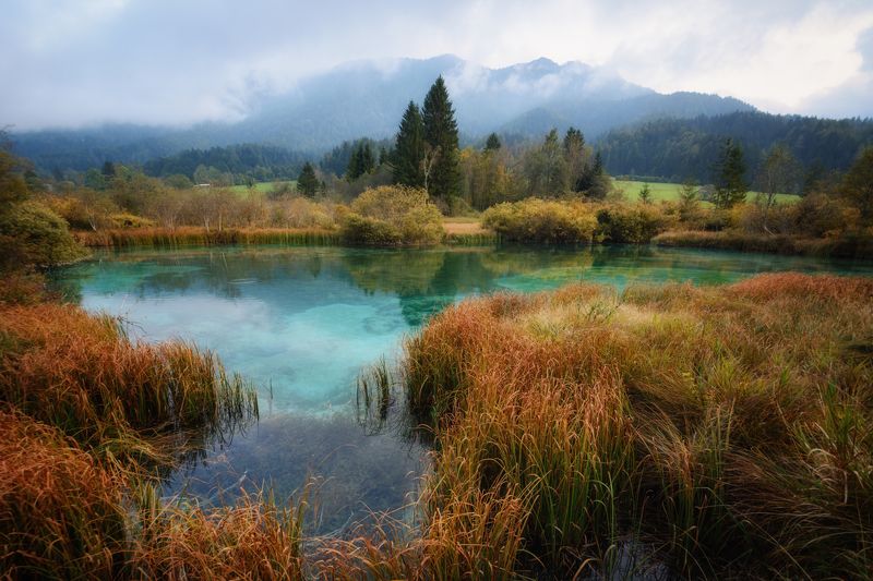 словения, озеро, пейзаж, вечер Озеро Зеленцы (Zelenci) в Словенииphoto preview