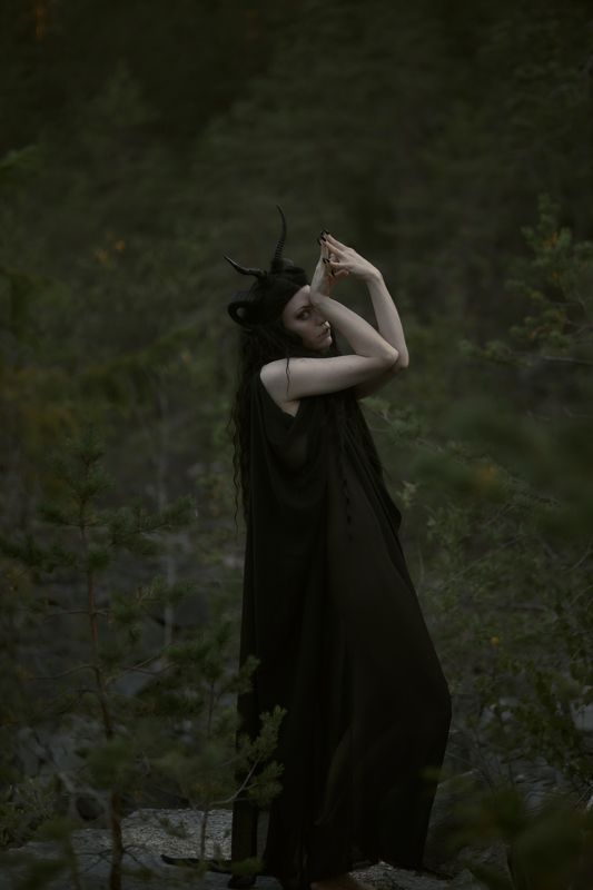 Мох фото превью