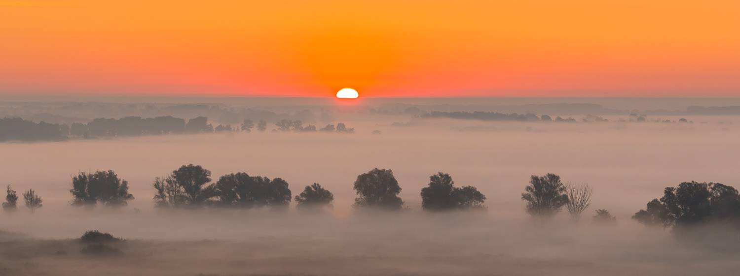 , Александр Подрез
