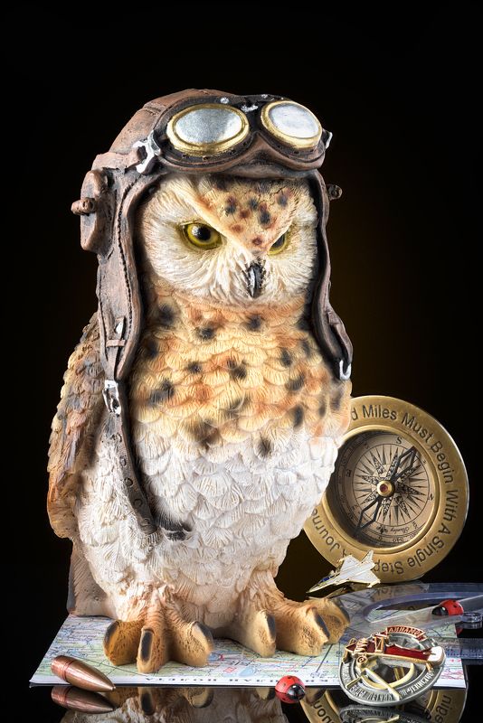 Сова-пилотягаphoto preview