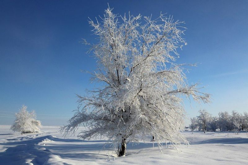 Зимаphoto preview