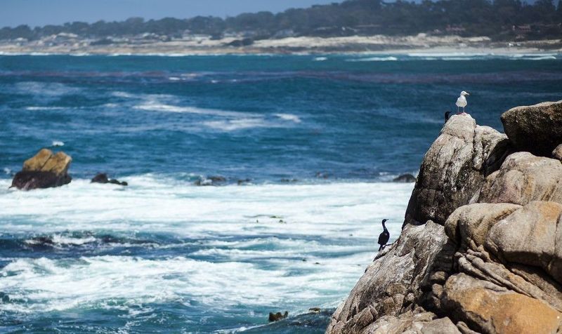 Pebble beach Pebble beachphoto preview