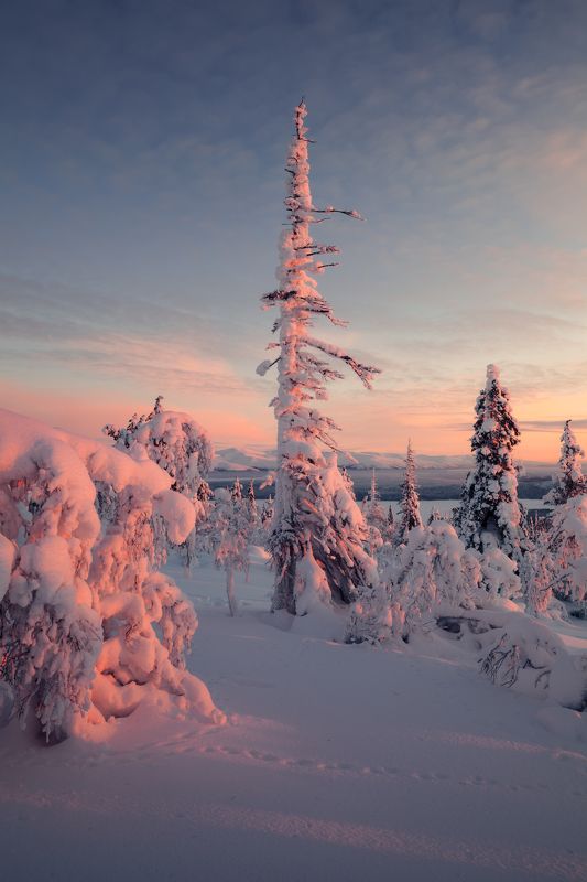 Кольский п-ов; Экостровский проливphoto preview