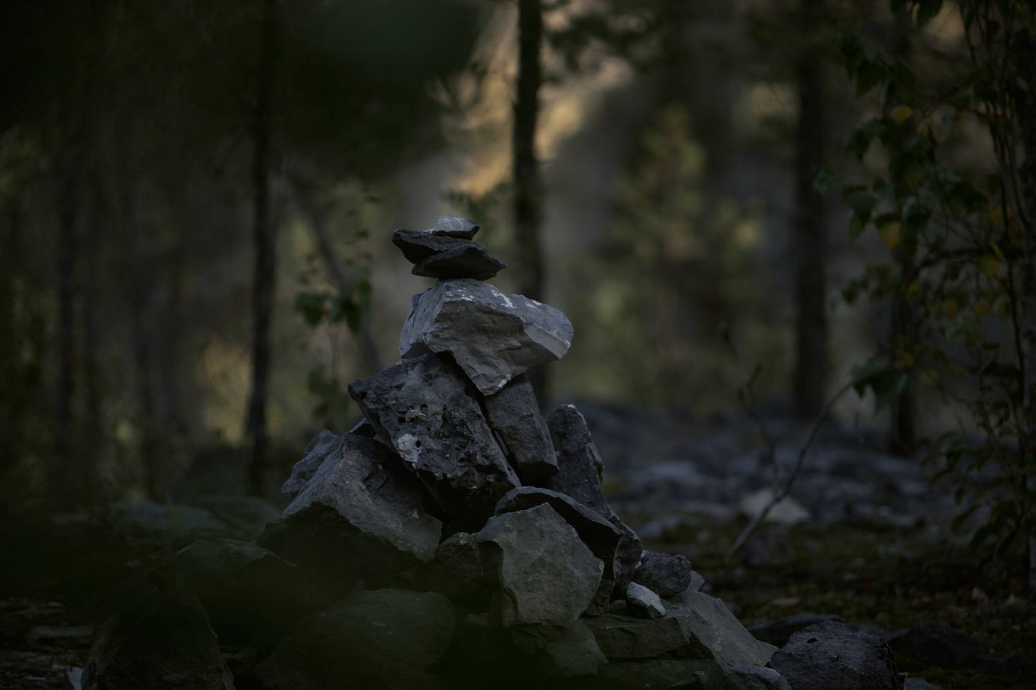 , Филатова Алина