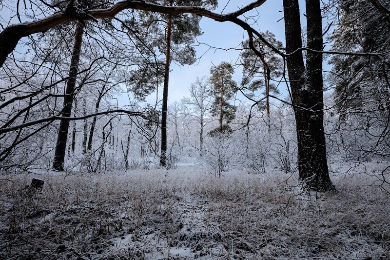 После оттепели на мороз...photo preview