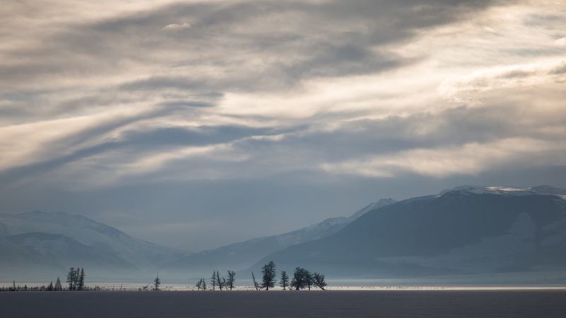 алтай, курай, курайская степь Курайская степьphoto preview