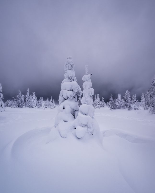 гух, главный уральский хребет, урал, северный урал, природа, пейзаж, закат, зима, сергейалтушкин Зимняя сказка ГУХа фото превью