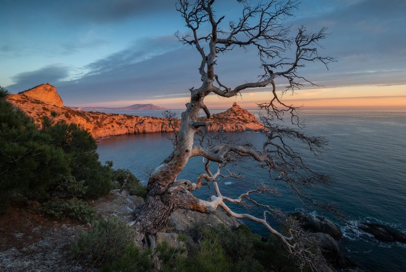 Закат в Новом Свете.photo preview