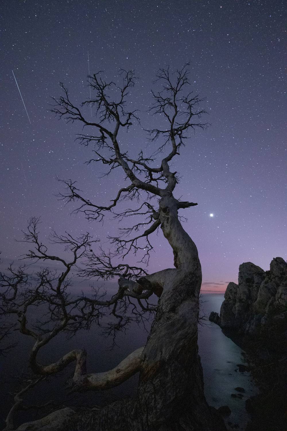 , Михаил Гапонов