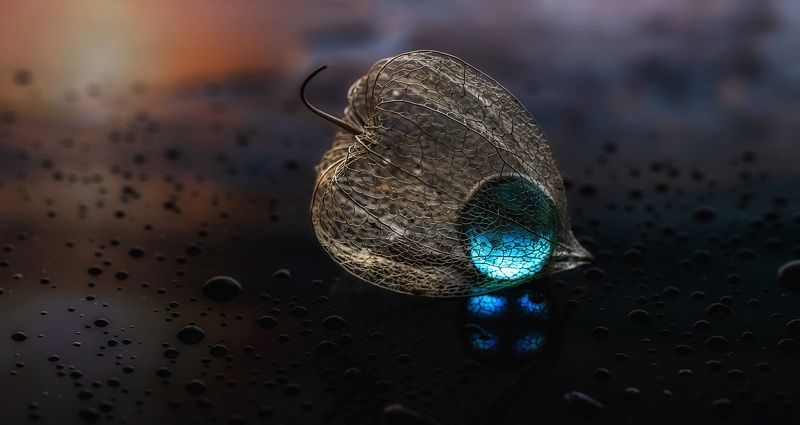 макро, macro, canon, капли, drops photo preview