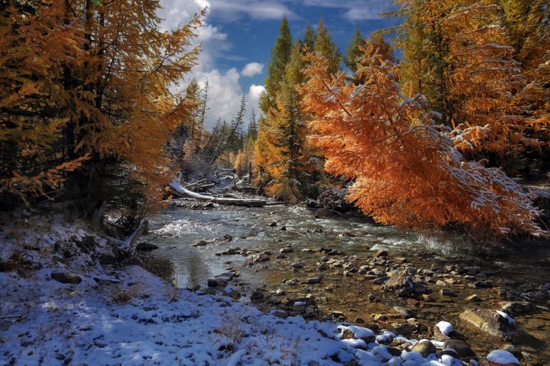 алтай, горный алтай Осенние воспоминанияphoto preview