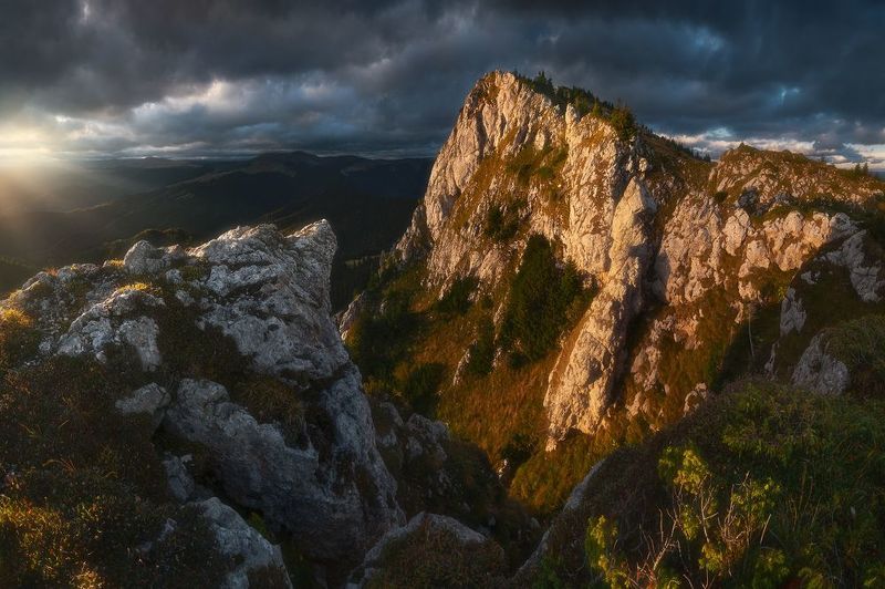 White wallphoto preview