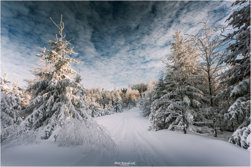 polska, zima ***photo preview