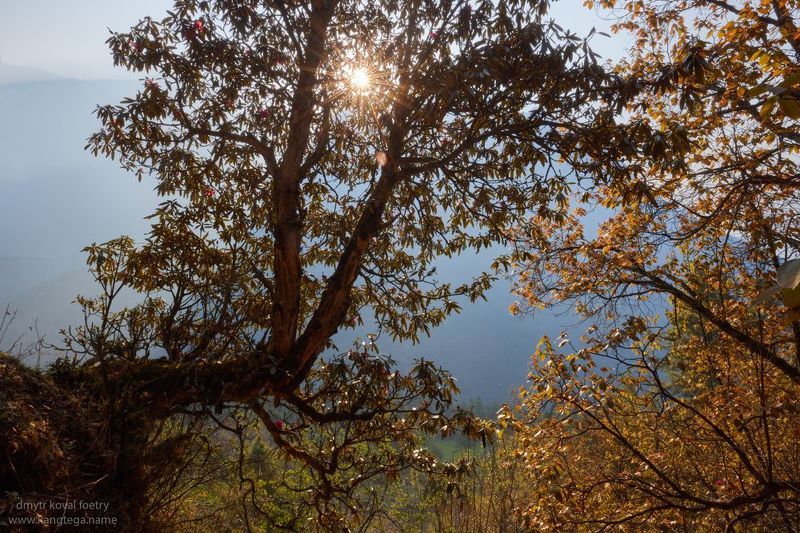 пейзажемагьё, пейзаж-как-виденье Когда Свет становится Пейзажем …photo preview