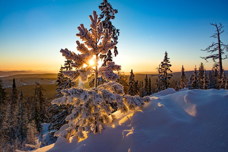 Утреннее солнышкоphoto preview