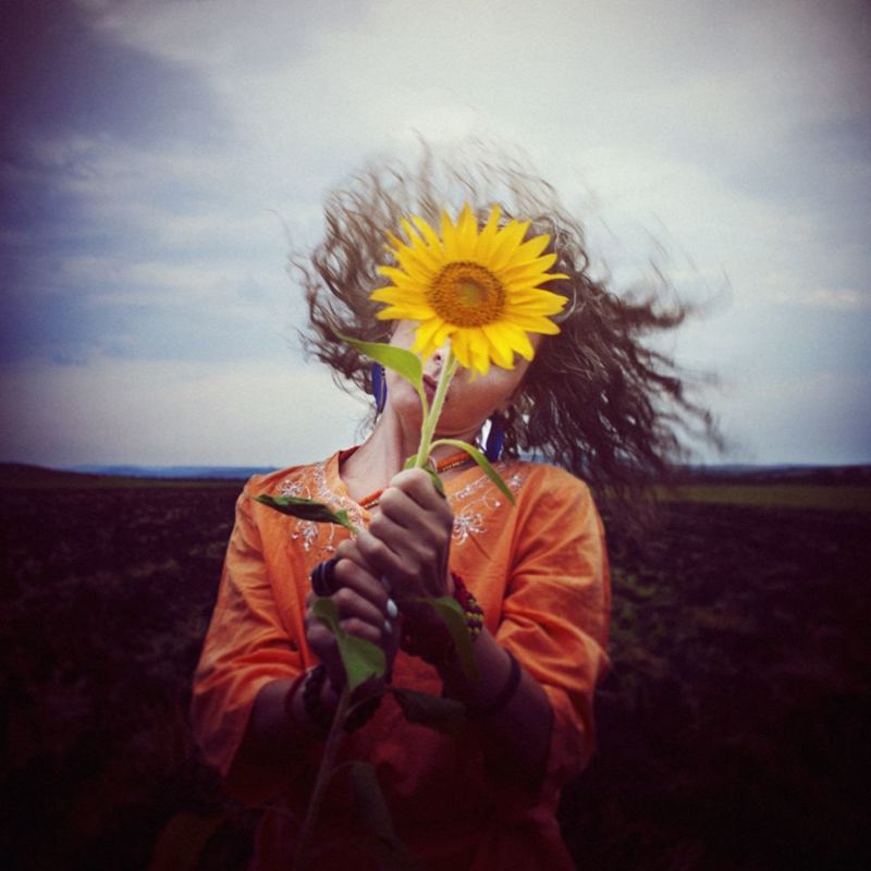 Untitledphoto preview