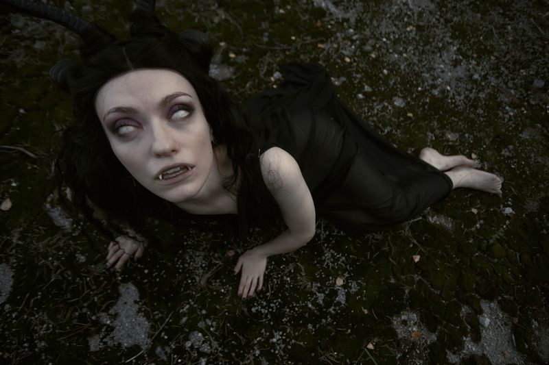 Мох фото превью