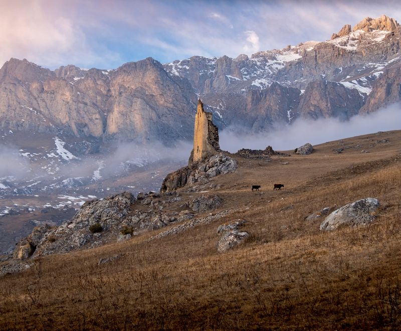 северная осетия, алания, куртатинское ущелье, сторожевые башни, халгон, цмити, нд, северный кавказ нд, покинутые миры, осетия, северный кавказ Куртатинская пасторальphoto preview