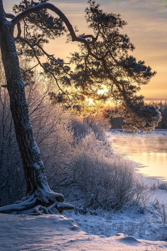 Морозное утро на реке Вилияphoto preview