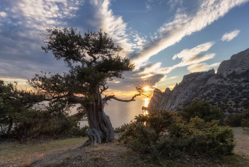 крым, новый свет, закат, пейзаж, горы, море Ловец солнцаphoto preview