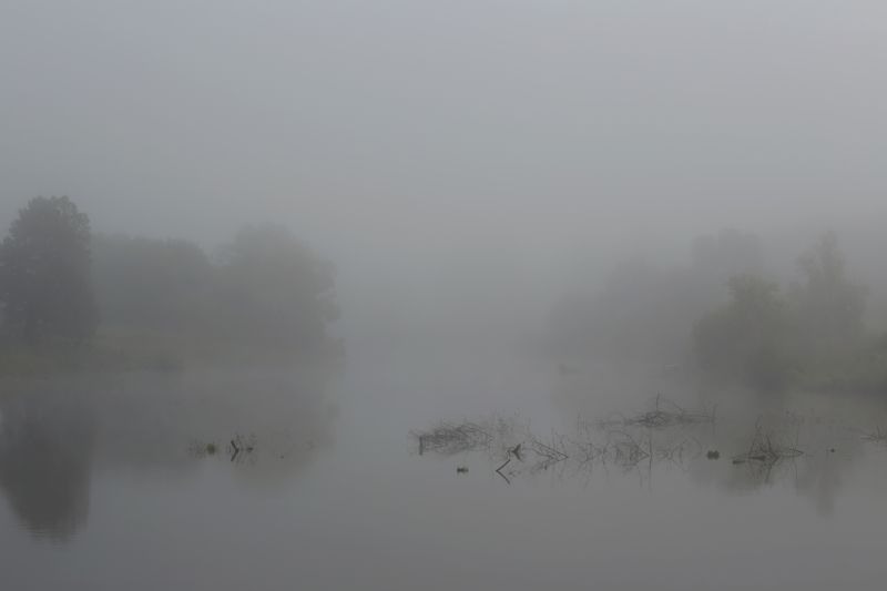 пейзаж, вода, пруд, деревья, свет, деревья Туманное утро..photo preview