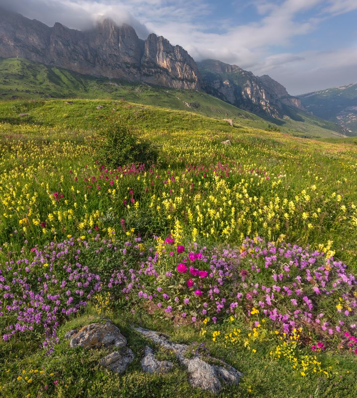 Фототуры с Владимиром Рябковым, #topnature #russpasibo #magic_shots #lovelyRussia #sunset_vision #exclusive_sky  #exclusive_shots #loves_russia2 #photoarena_nature #nature_sultans #nature_perfection #rsa_sky #rsa_sunset #photorussia #rsa_naturepics #sunse Дигория. фото превью