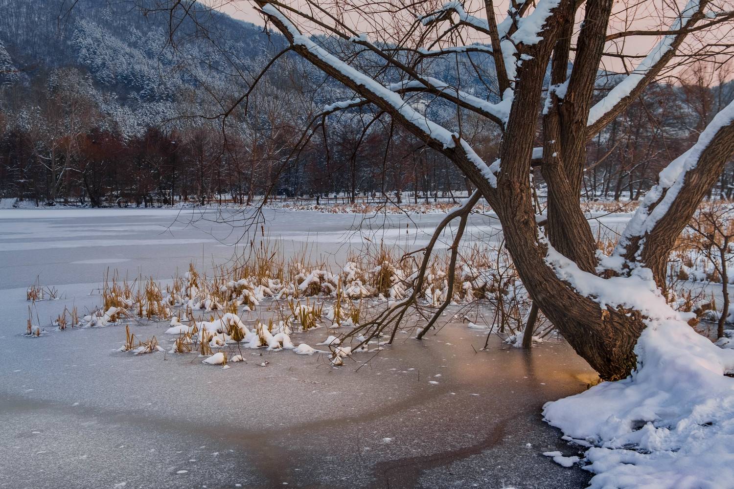 Автор: Николов Андриян , Николов Андриян