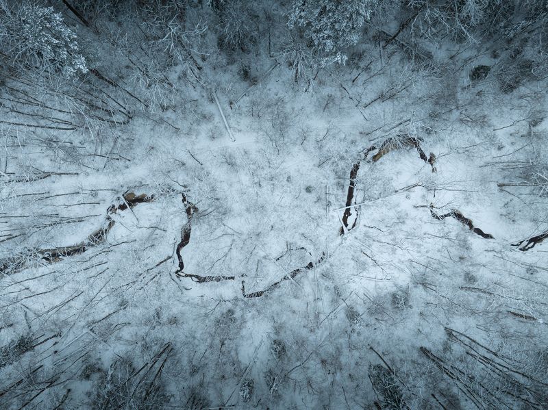 Зимний день фото превью