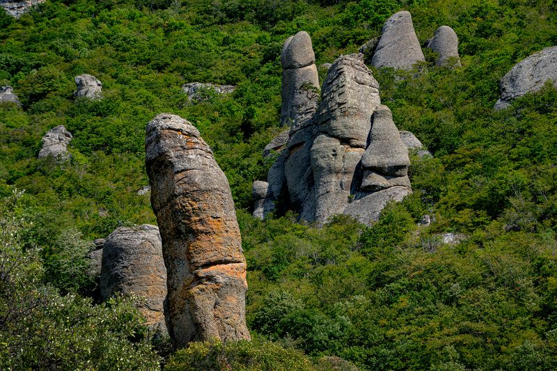 Большой палец фото превью