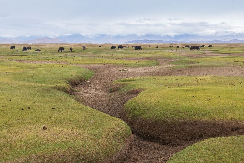 памир Таджикистан тянь_шань тяньшань пик_ленина фанские_горы Куликалон Алаудин Искандеркуль Чилдухтарон памирский_тракт Фототур на Памир фото превью