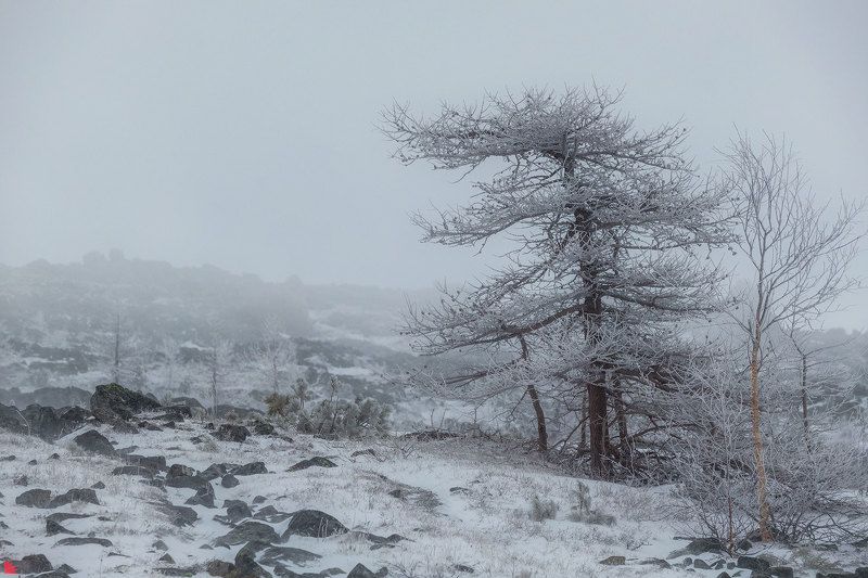 серебрянский камень, урал, скалы, снег Черно-белый мирphoto preview