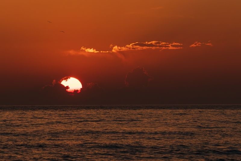 Сиюминутность уходящего дня.photo preview