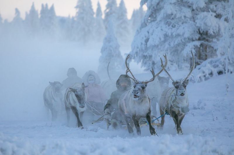 Быт эвенов в Якутииphoto preview