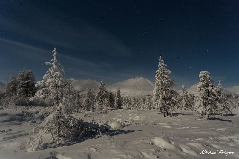 Однажды ночьюphoto preview