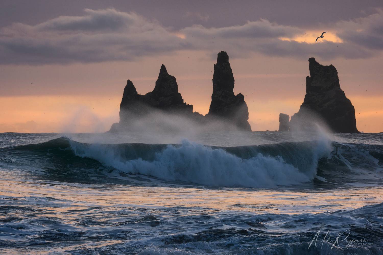 , Майк Рейфман