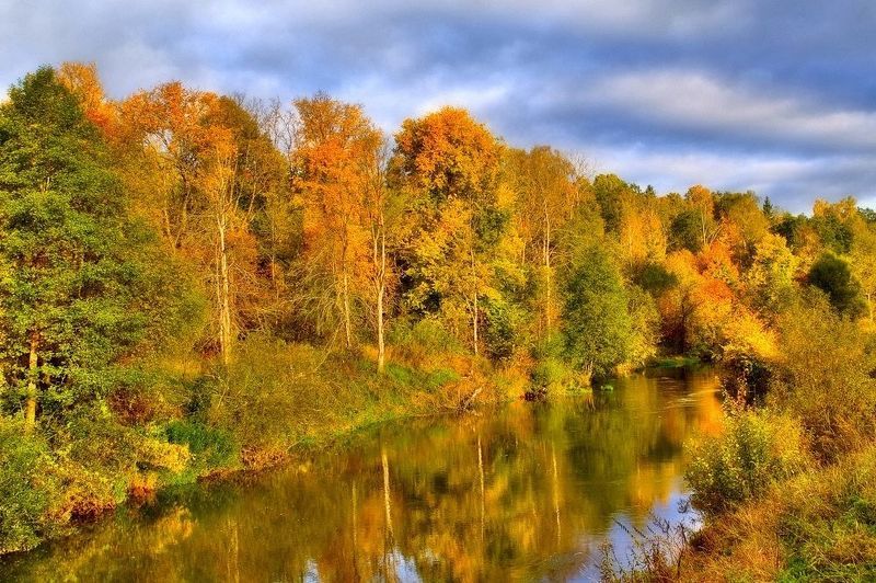 природа осень река лес облака Осенние контрастыphoto preview