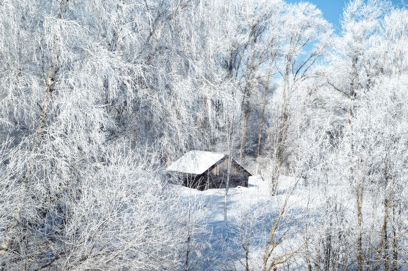 зима, снег, лес, дом, сугробы Приют для одиночестваphoto preview