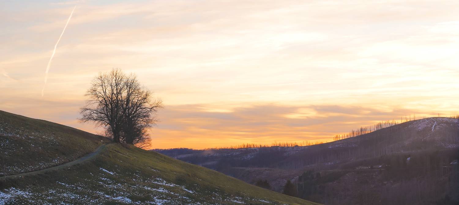 , Игорь Дубровский