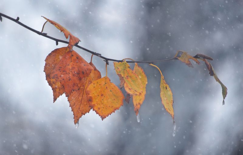 Межсезонье фото превью