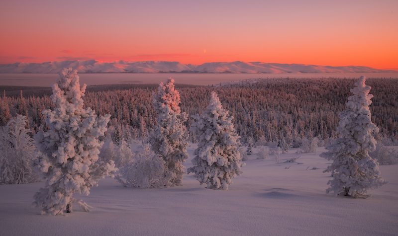 север,кольский,хибины,имандра,апатиты,кировск,луна,рассвет photo preview
